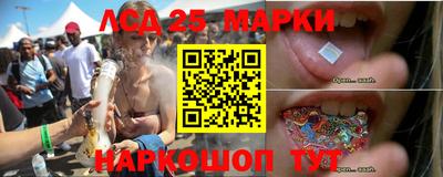 прущие грибы Апшеронск