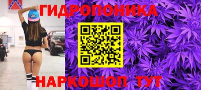 прущие грибы Апшеронск