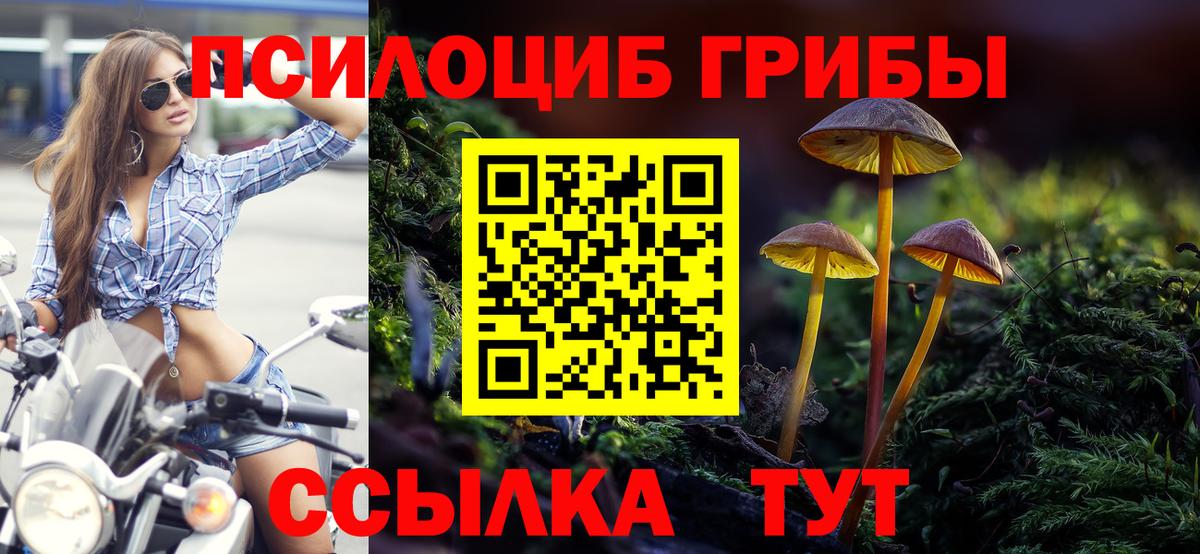 Выборг  Псилоцибиновые грибы Magic Shrooms  Галлюциногенные грибы GOLDEN TEACHER  Вход с VPN 