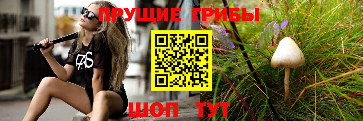 Лсд 25  Выборг  Вход с VPN  Конопля  Мефедрон кристаллы  ГАШ  МДМА  ЭКСТАЗИ  Меф МЯУ МЯУ 